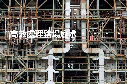 “高效處理豬場廢水，實現(xiàn)環(huán)保與資源利用”